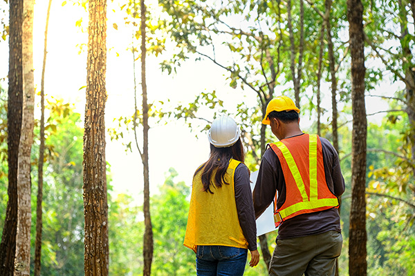 Two people surveying a potential building site