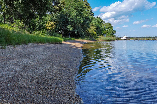 Eagle harbor beach in Summer 2022