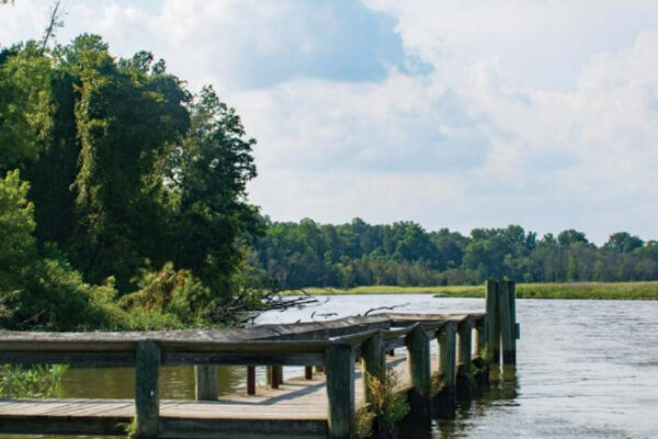 chesapeake trail by the river