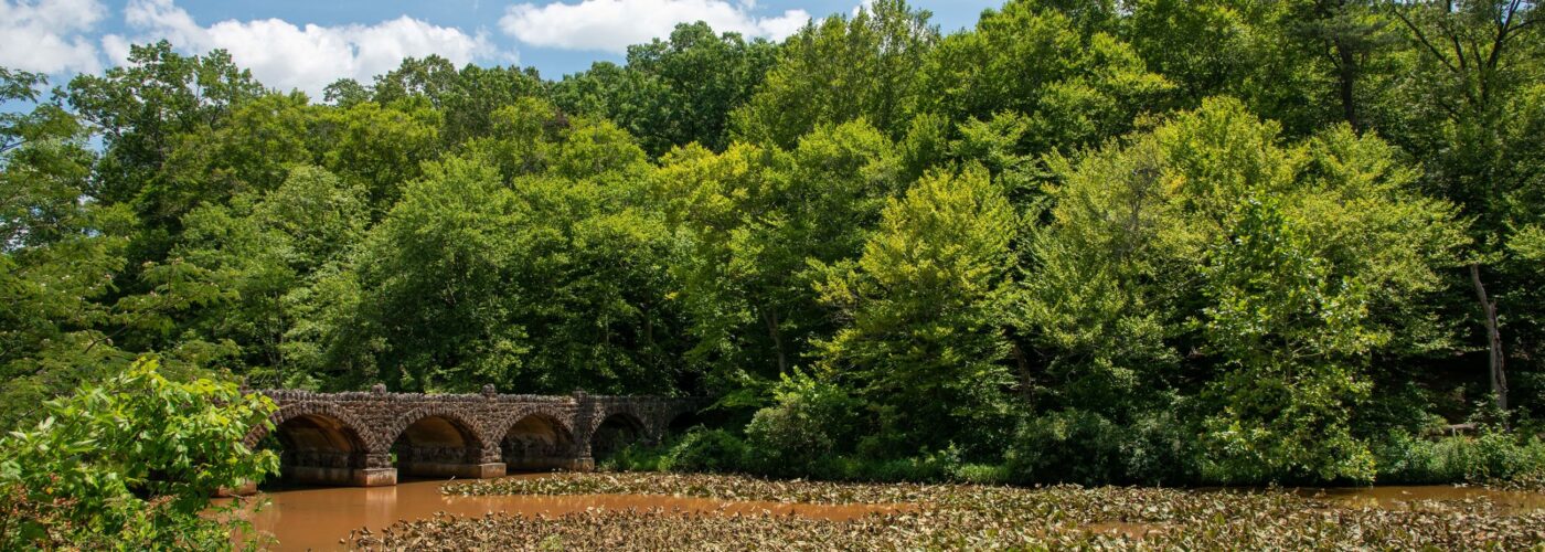 brown river with plant life on it with a bridge