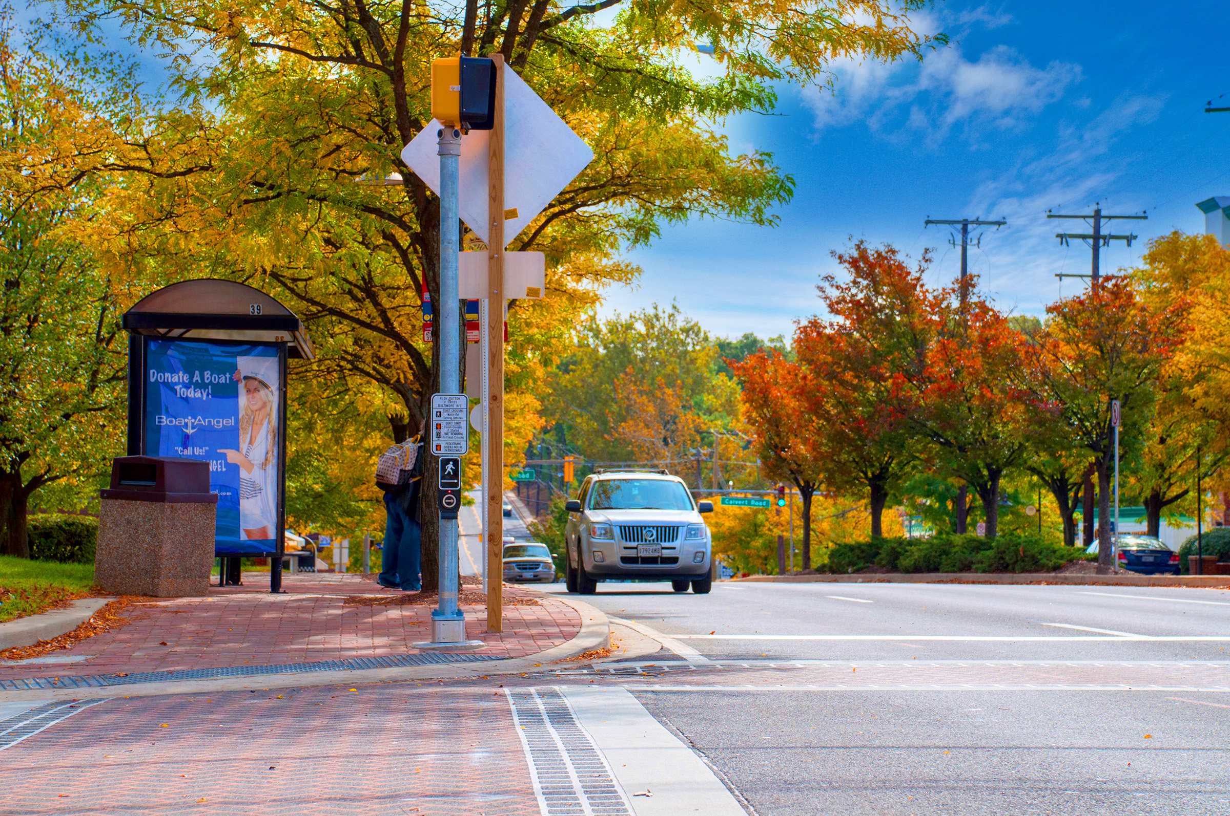 Tree-lined street in College Park, MD
