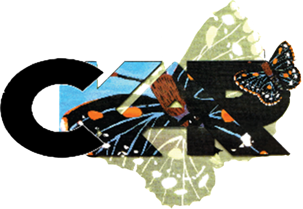 Central Kenilworth Ave Revitalization CDC